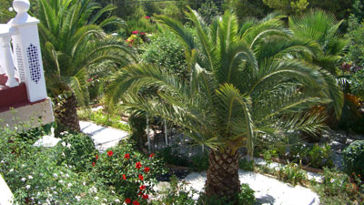 Villa MonteAlegre 1er etage - Famille Carlier